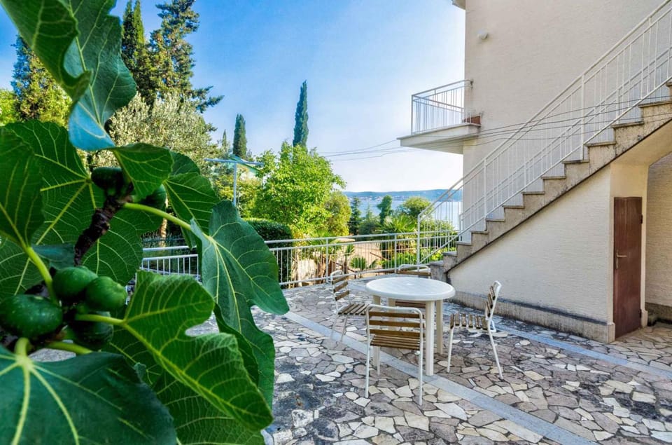 Property building, Summer