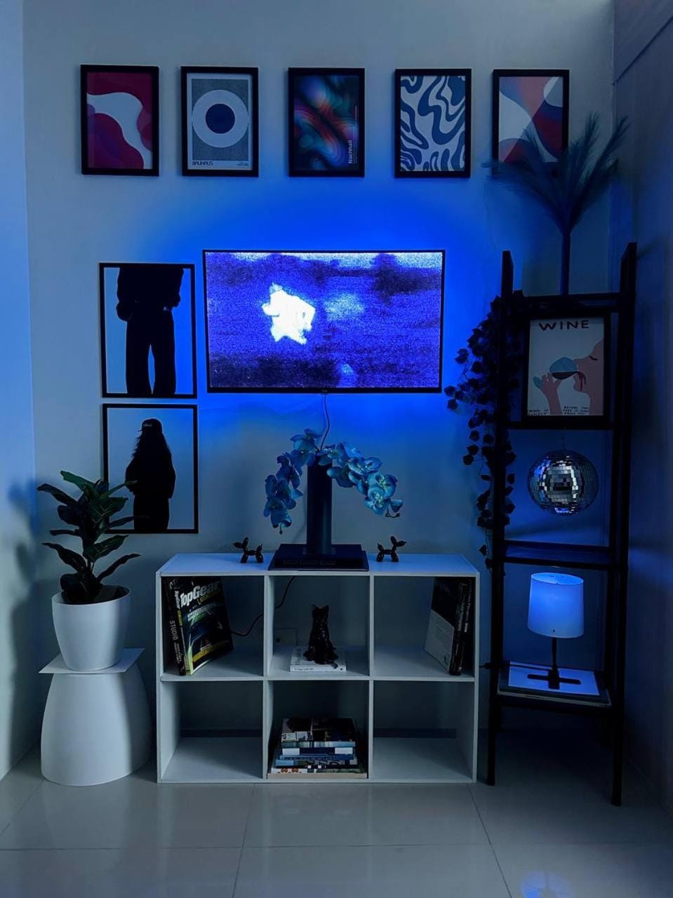 TV and multimedia