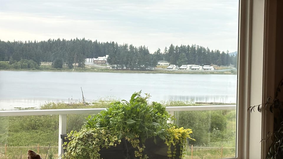 Lake view