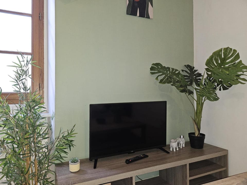 49 studio centre-ville BOX A BAGAGES GRATUITS Apartment in Carcassonne