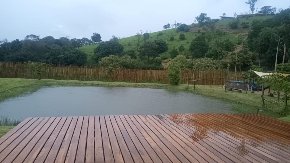 Day, Lake view