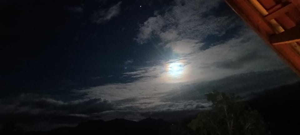 Night