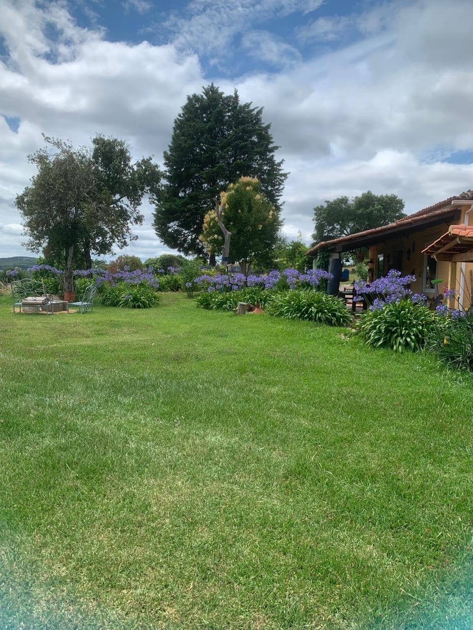 Garden view
