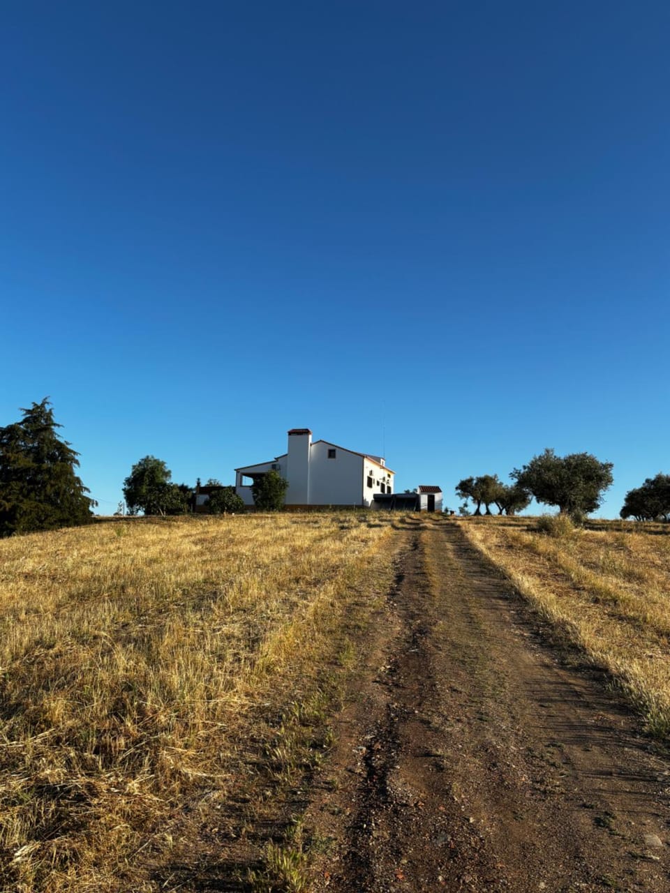 Quinta Monte da Azinheira Villa in Évora District, Portugal