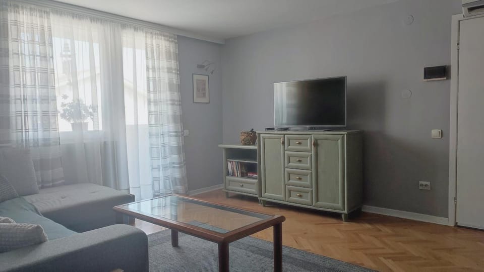 Mila LOFT city center-free parking Apartment in Serbia