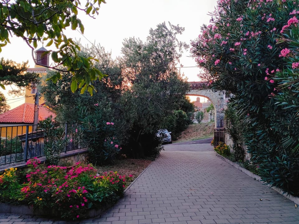 Property building, Patio, Garden