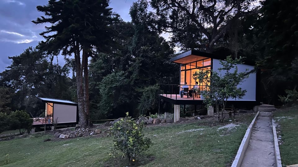 Natural landscape, Garden, Garden view