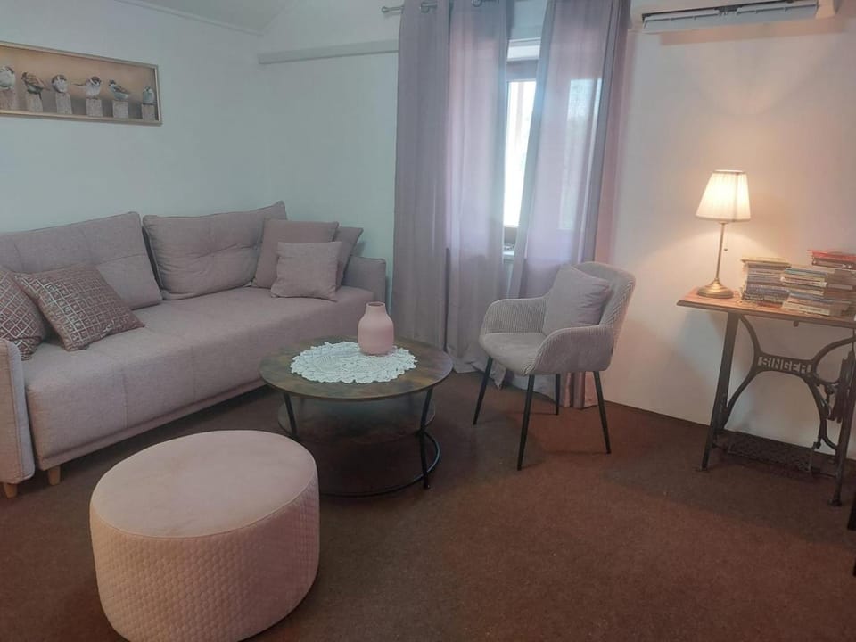 Living room, air conditioner