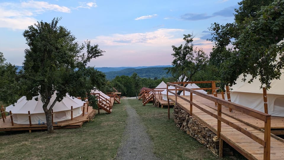 Garden, Garden view, Mountain view