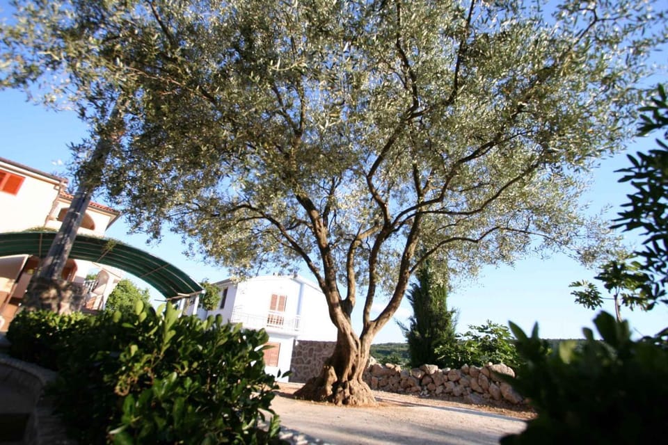 Nearby landmark, Summer