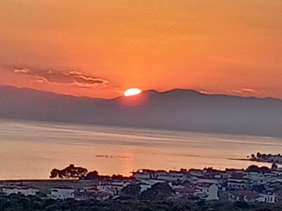 Olive & Garden House in Halkidiki