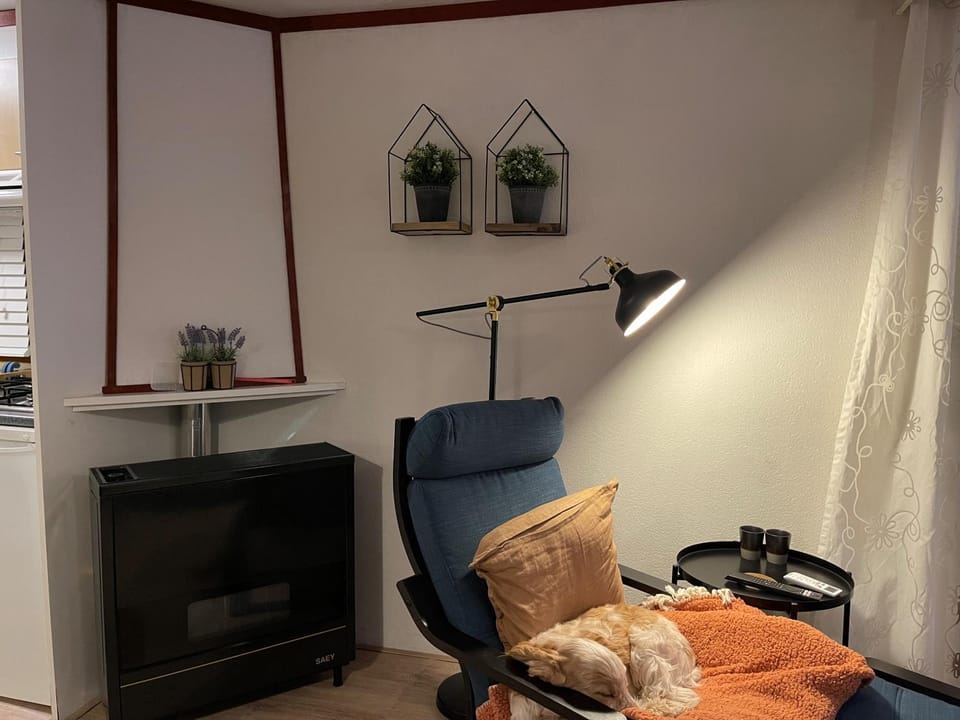 Living room, Seating area, fireplace, heating