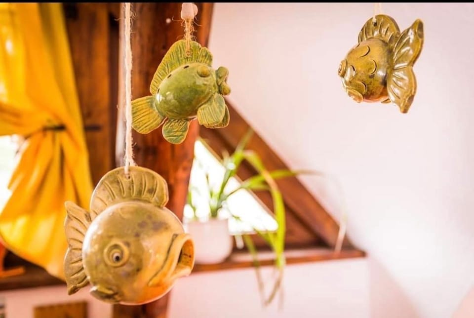 Kirschblüte Apartment in Zingst