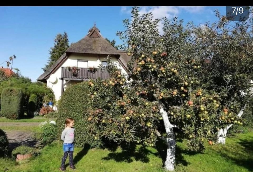 Kirschblüte Apartment in Zingst