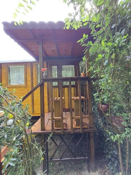 Magnifique roulotte en plein nature Apartment in Pays de la Loire