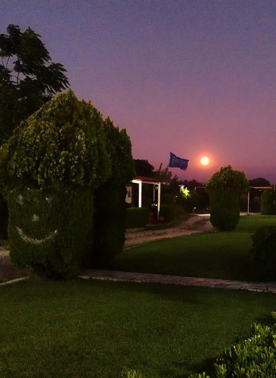 Night, Natural landscape, Garden view, Sunset