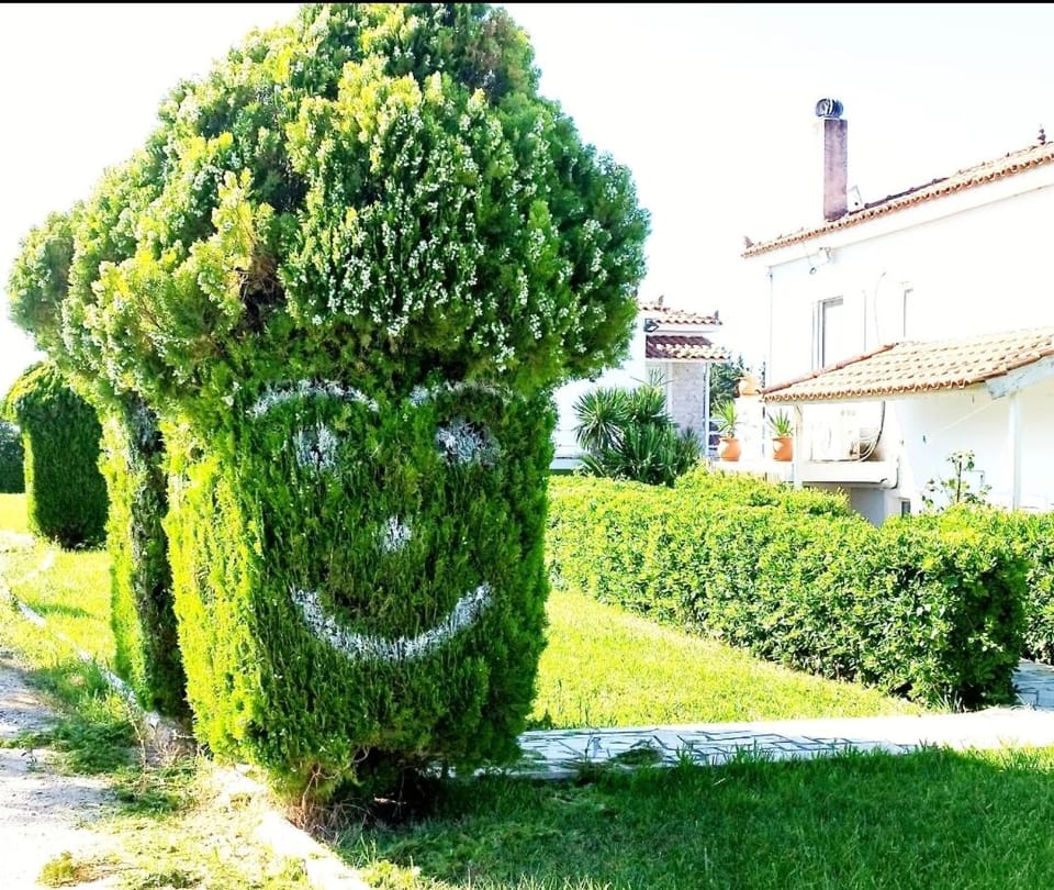 Garden, Garden view