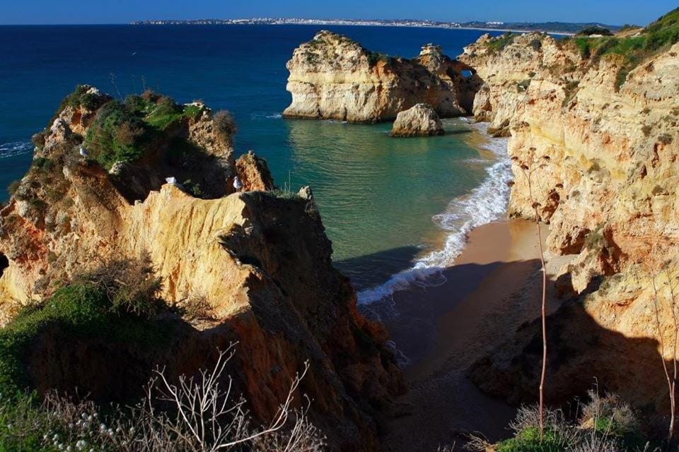 Natural landscape, Beach, Sea view