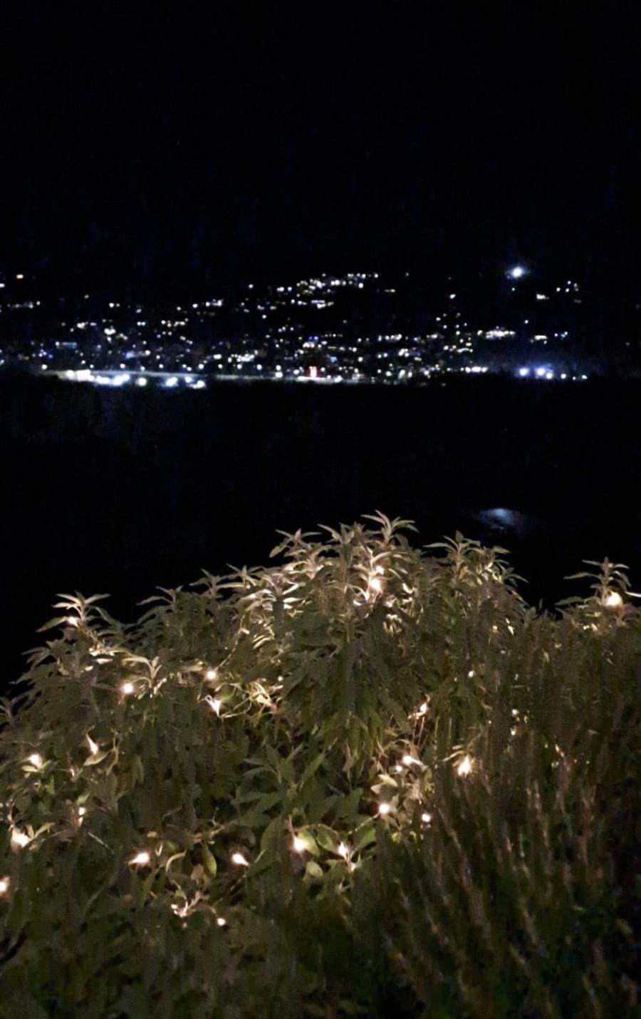 Natural landscape, Bird's eye view, City view