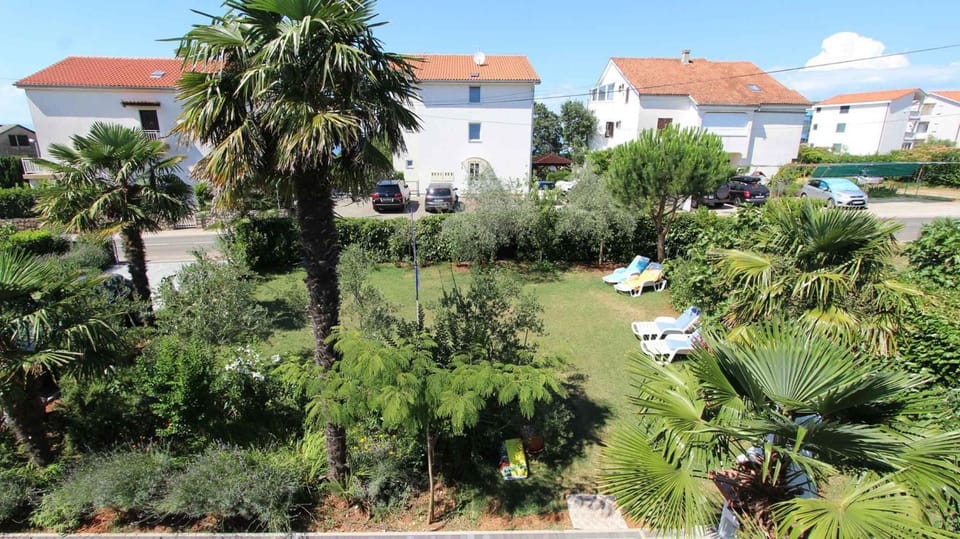 Summer, Garden