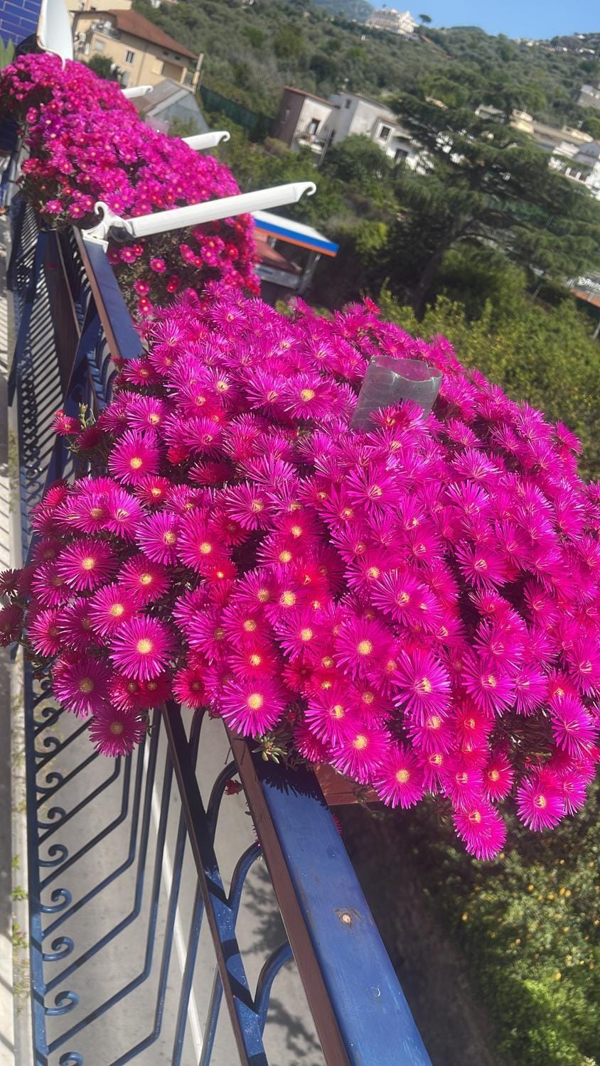 Spring, View (from property/room), Balcony/Terrace