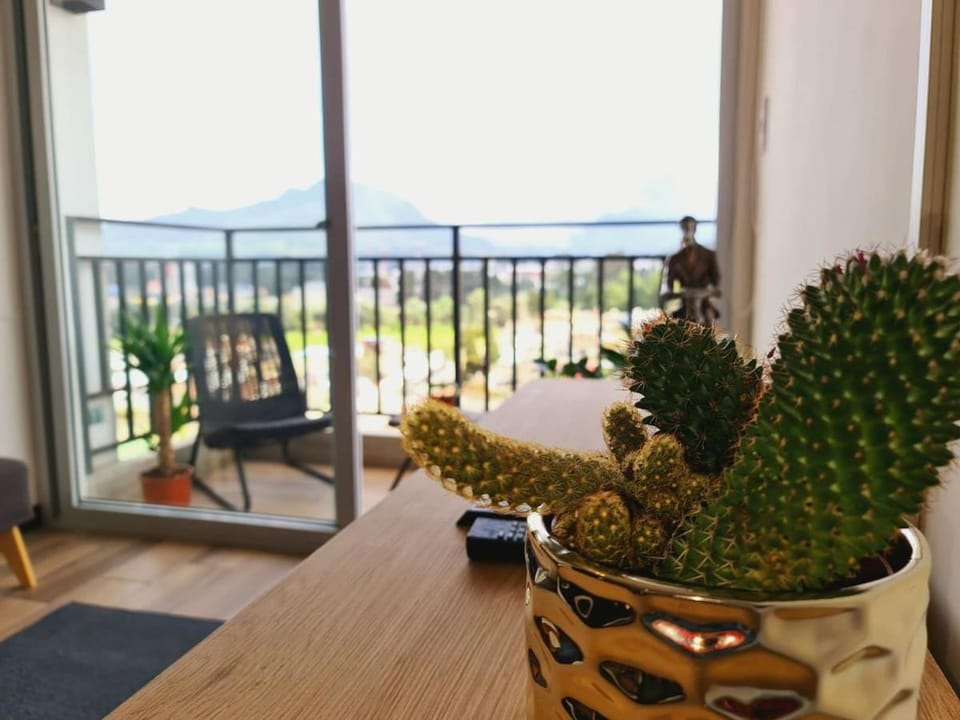 View (from property/room), Living room