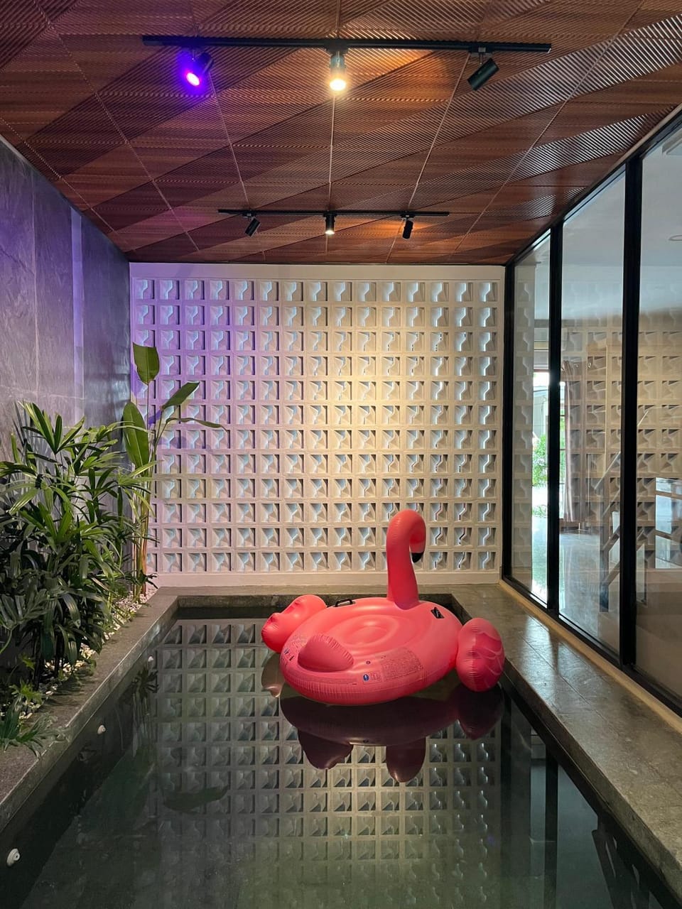 Swimming pool, Swimming pool
