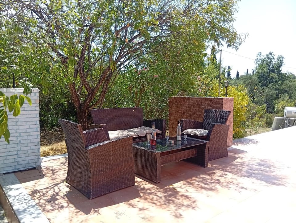 Day, Garden, Garden view