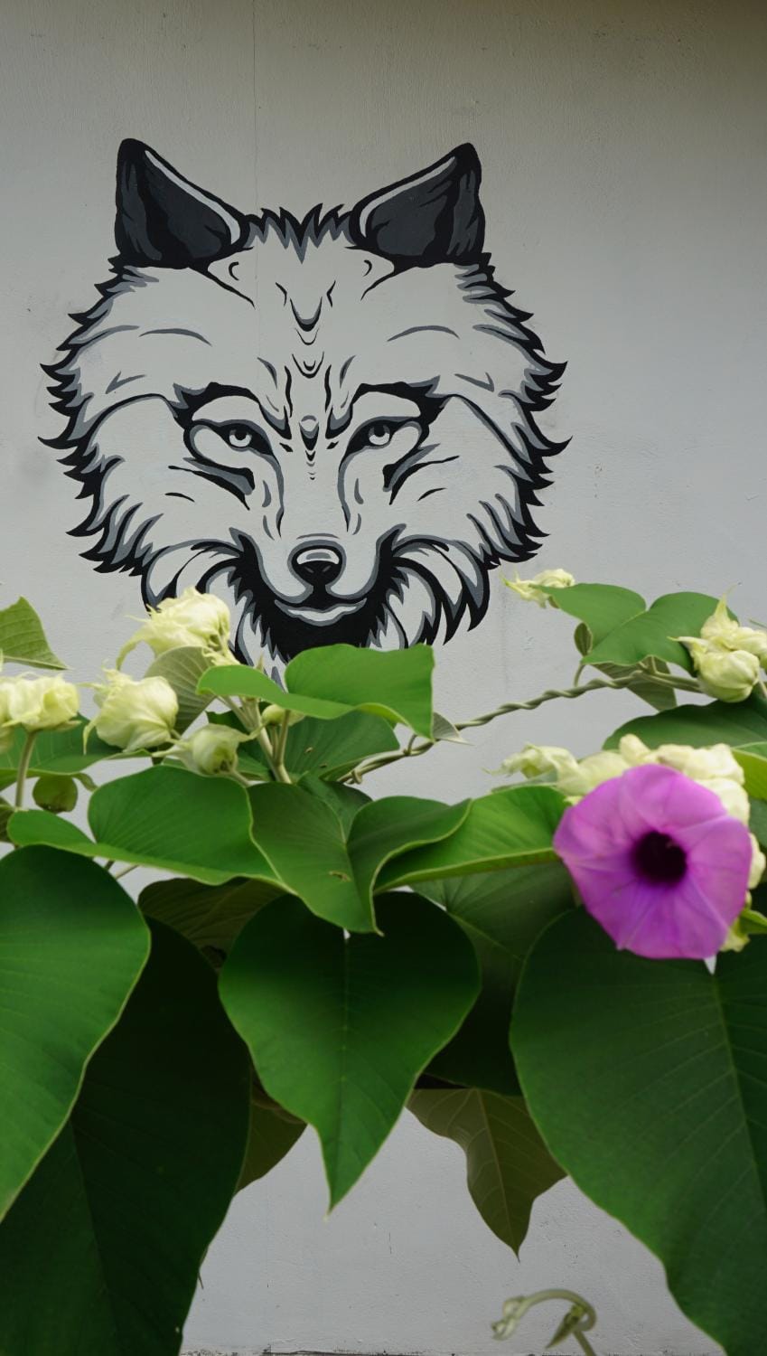 House of Wolves Hostel Hostel in Kedah