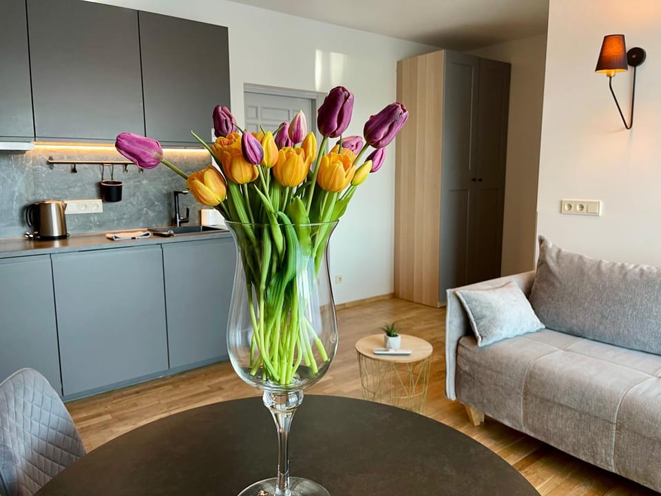 Saules apartment Klaipeda Apartment in Klaipėda