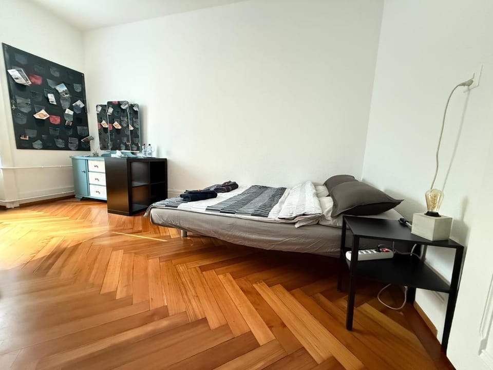 Laus-Angeles Vacation rental in Lausanne