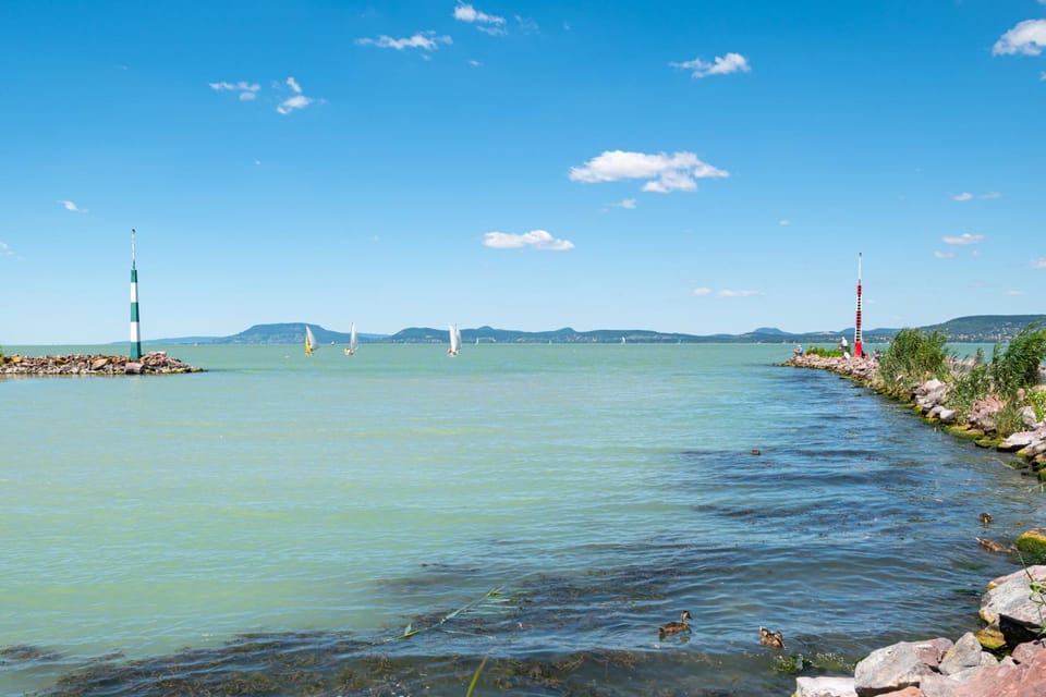 Natural landscape, Summer