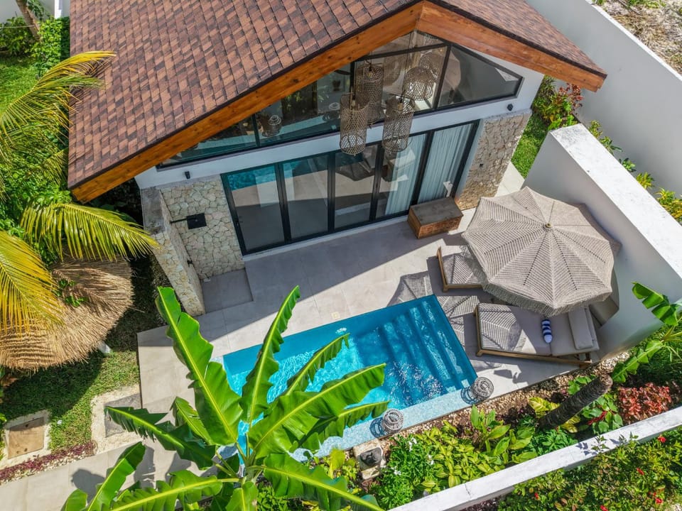 Property building, Garden, Garden view, Swimming pool, sunbed