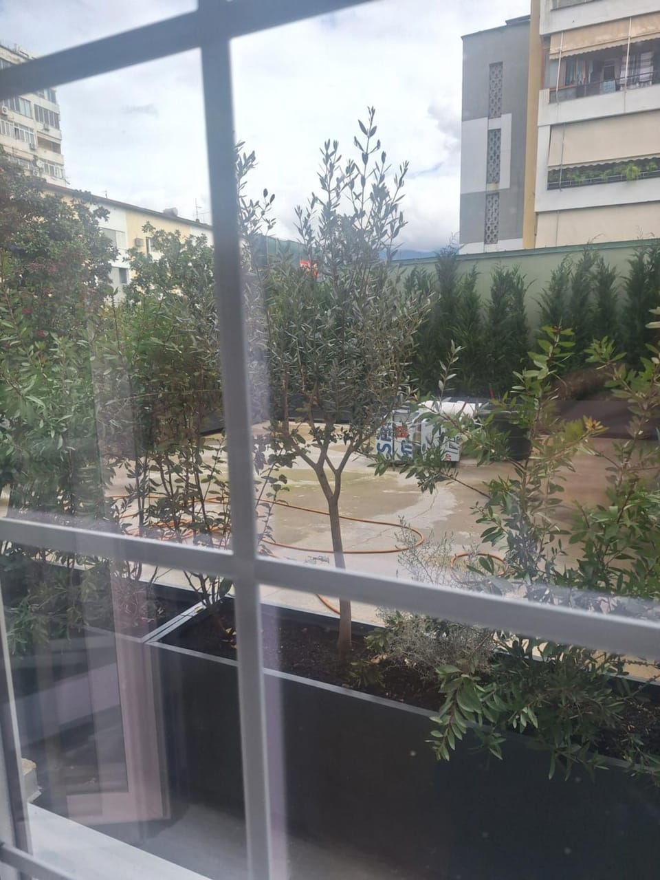 View (from property/room), Windsurfing