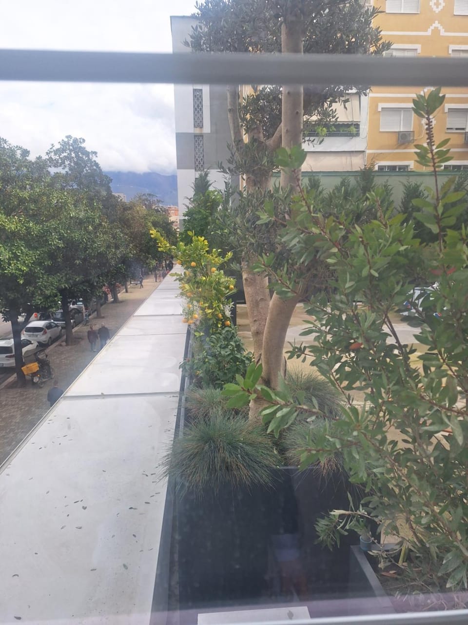 Day, Garden view