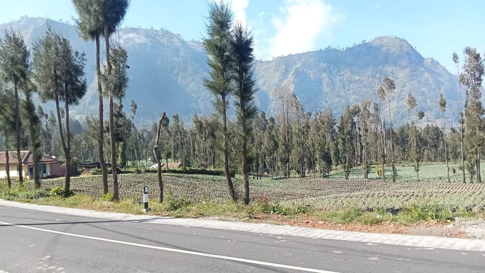 Day, Mountain view
