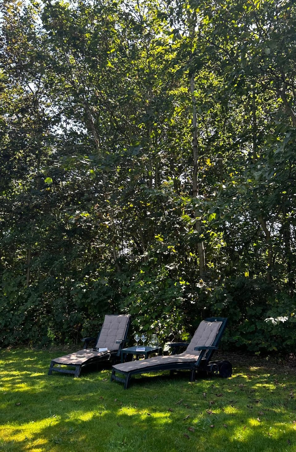 Garden, sunbed