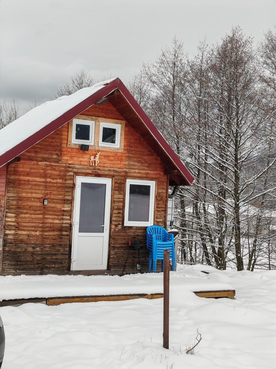 Renul Minimalist Chalet in Brașov County