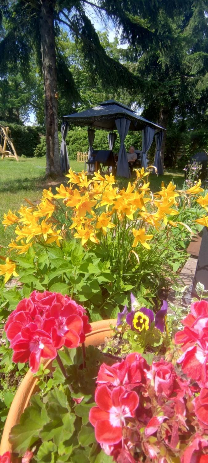 Garden, Garden view