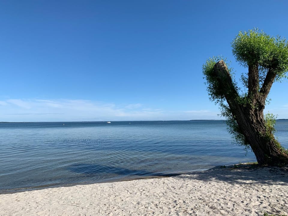 Altes Gutshaus Klink Hotel in Waren