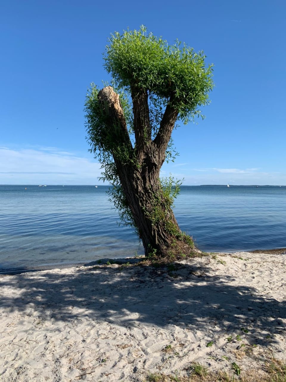 Altes Gutshaus Klink Hotel in Waren