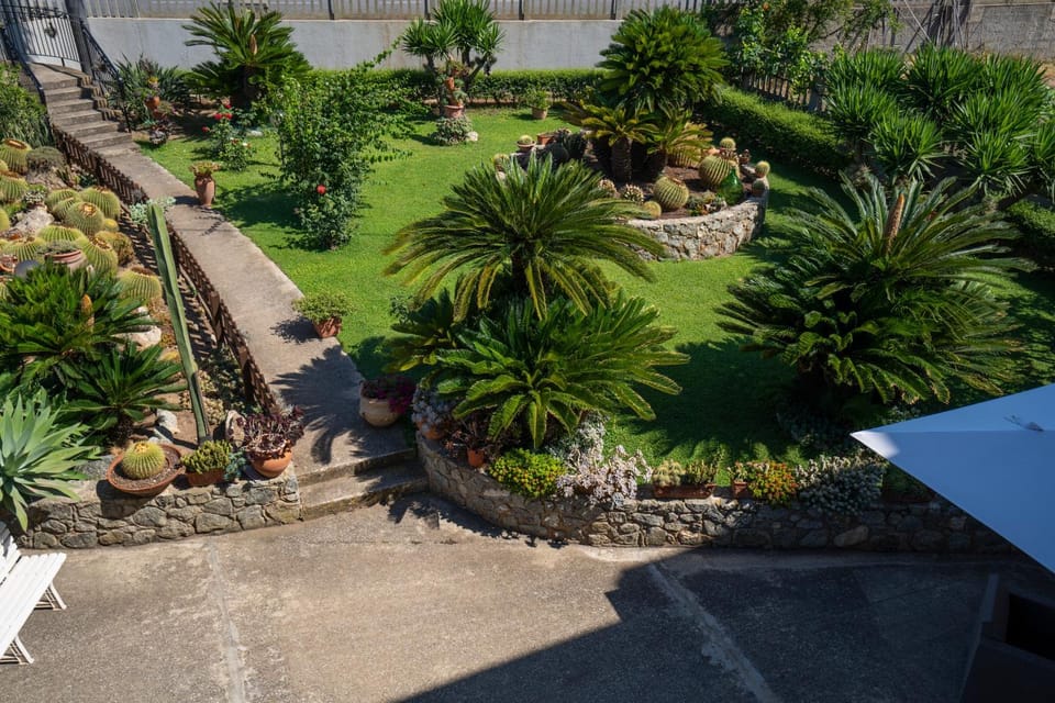 Day, Garden