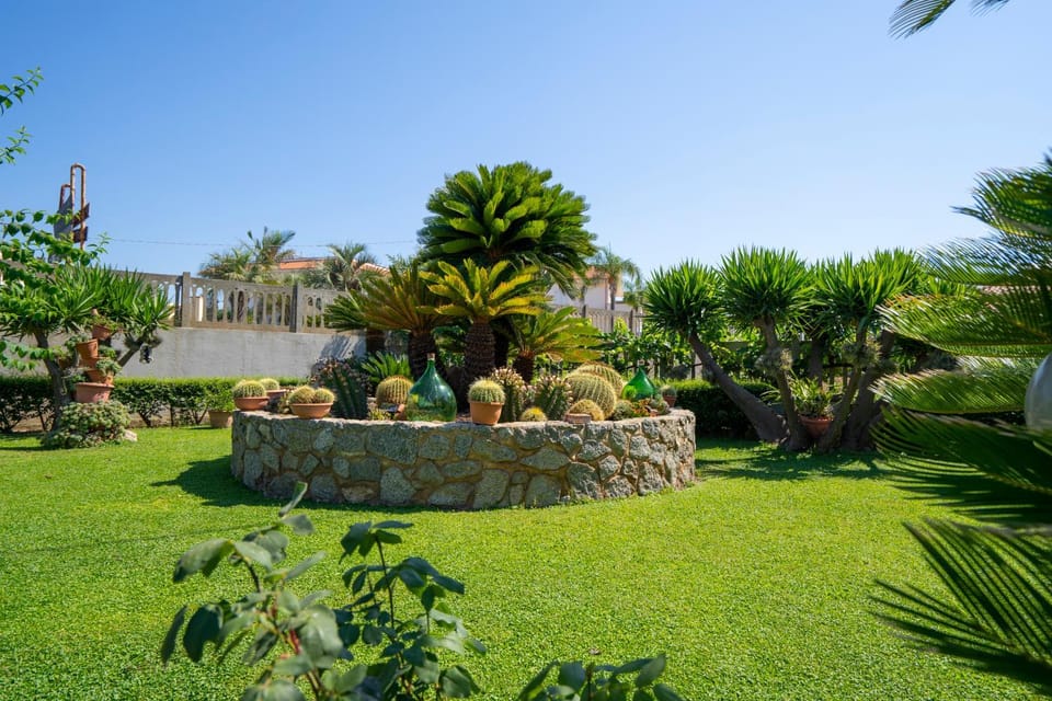 Natural landscape, Garden