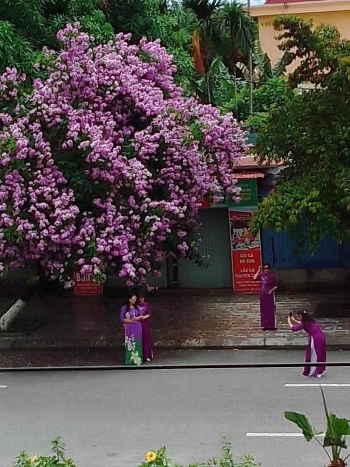 Quang Minh Hotel Vacation rental in Vietnam