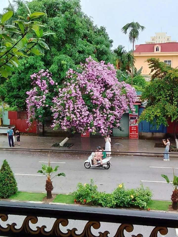 Quang Minh Hotel Vacation rental in Vietnam