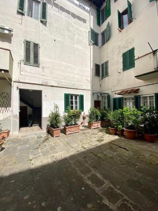 Property building, Garden view