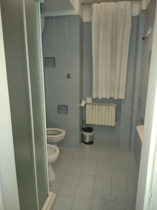 Shower, Toilet, Bathroom, bidet