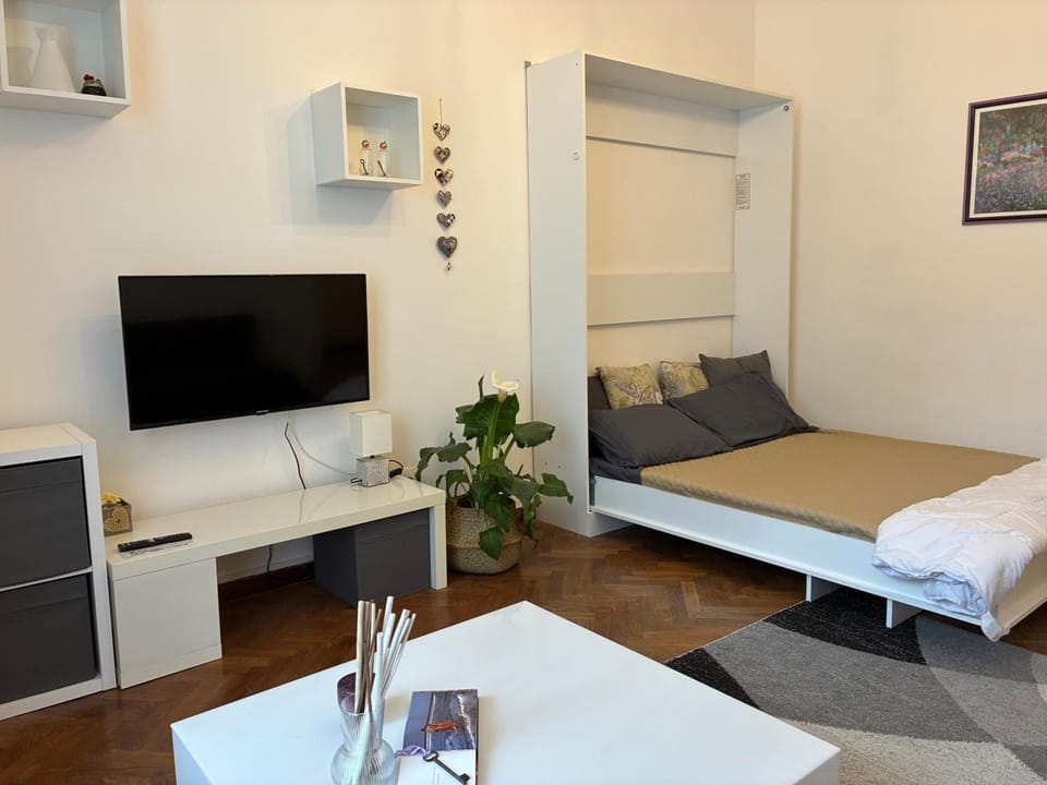 CASA ALICE A 2 PASSI DAL CENTRO 55 mt 2 Apartment in Trieste