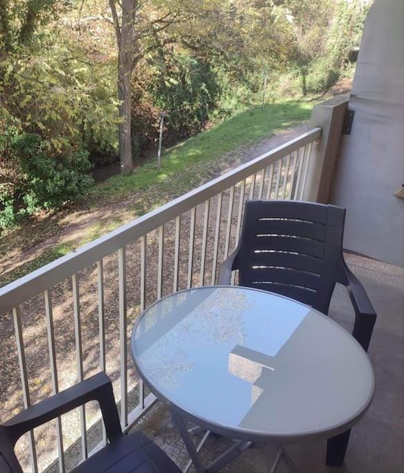 T 1 avec terrasse face rivière à 1 min des thermes Apartment in Gréoux-les-Bains