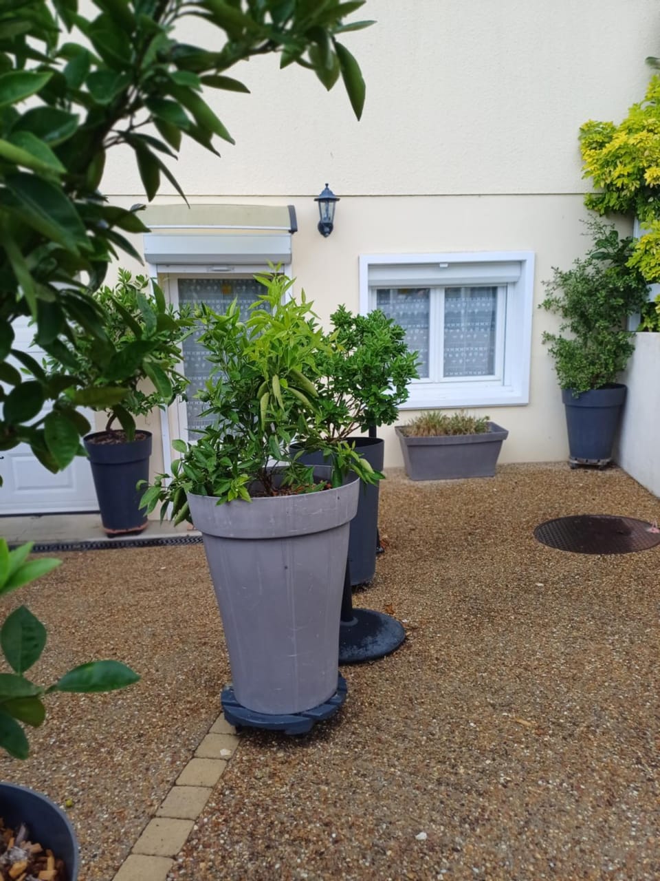 Patio, Balcony/Terrace